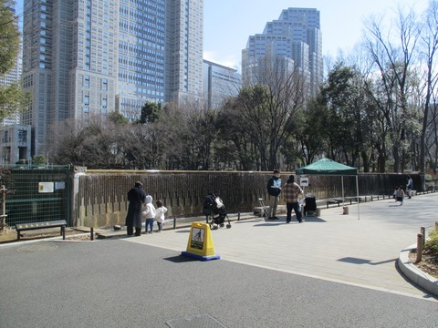 115公園内３