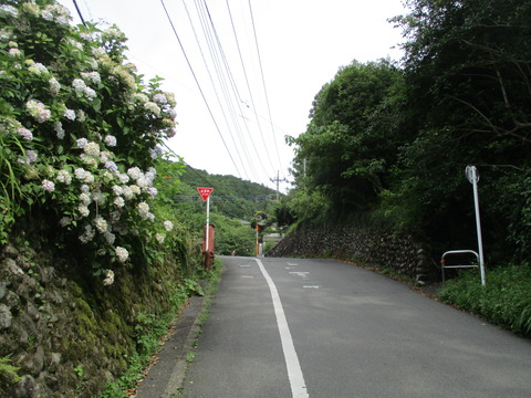 14合流点1
