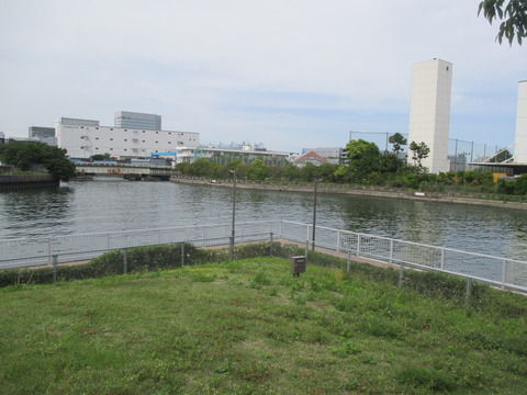 154ＮＯＶＡＲＥウォーク４