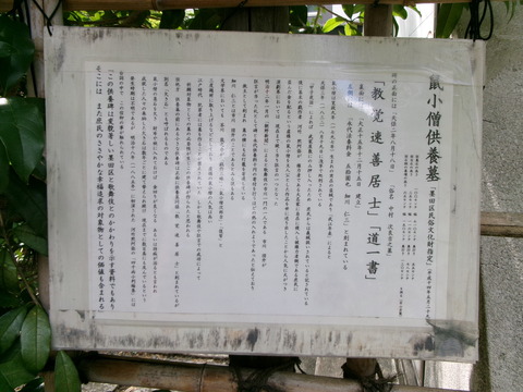 36回向院３０
