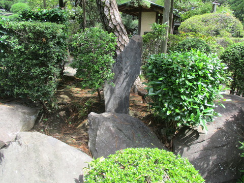 41西澄寺26