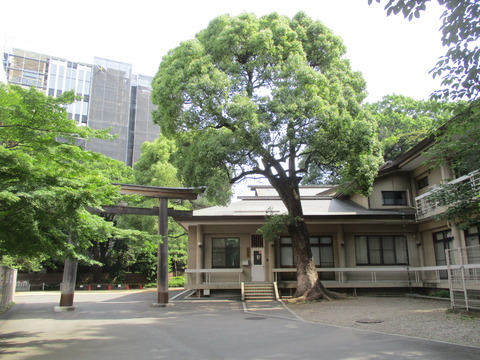 08東郷神社4