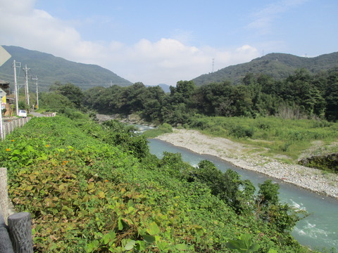 237荒川沿い1