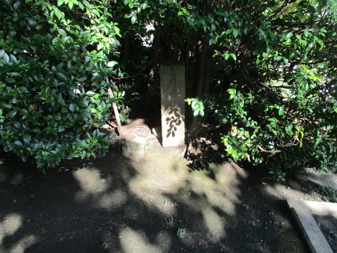 234教学院15