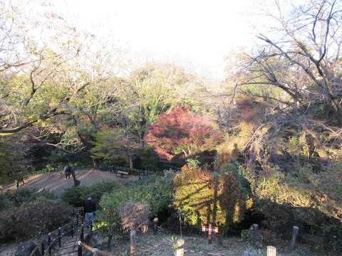 230戸山公園14