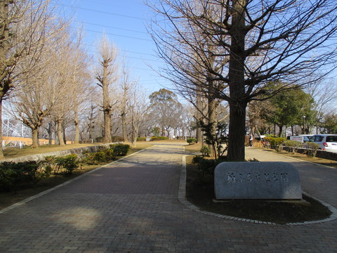 132公園内6