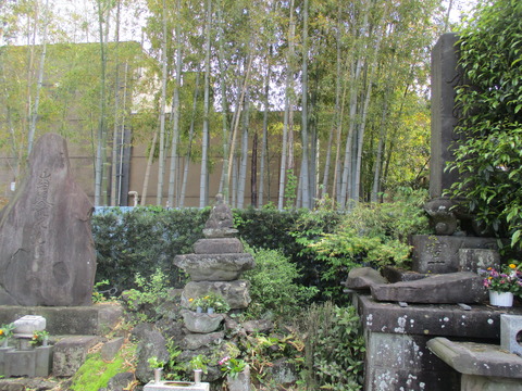 204称往院8
