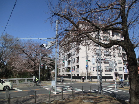 34桜橋1