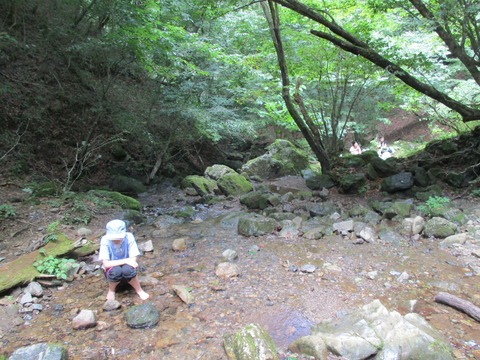 175御岳沢5
