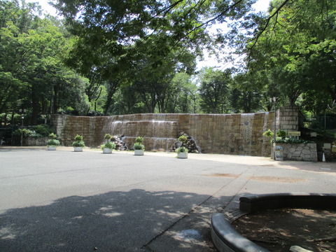 110新宿中央公園７