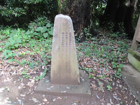196碑