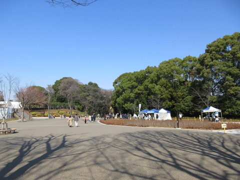 02公園