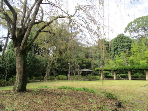 113旧河野邸4