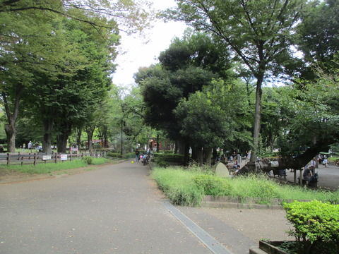 107世田谷公園4