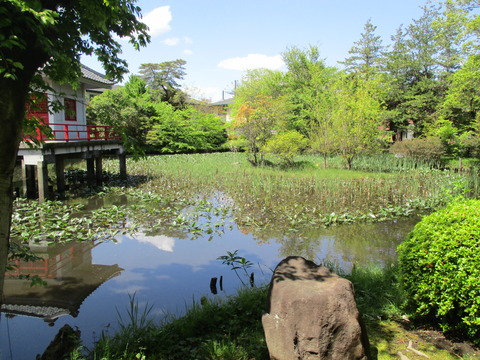 137高源院8