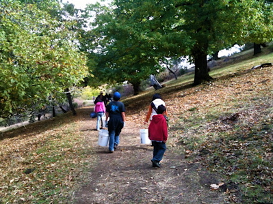 chestnuts7