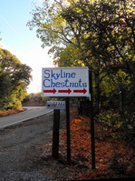 chestnuts1