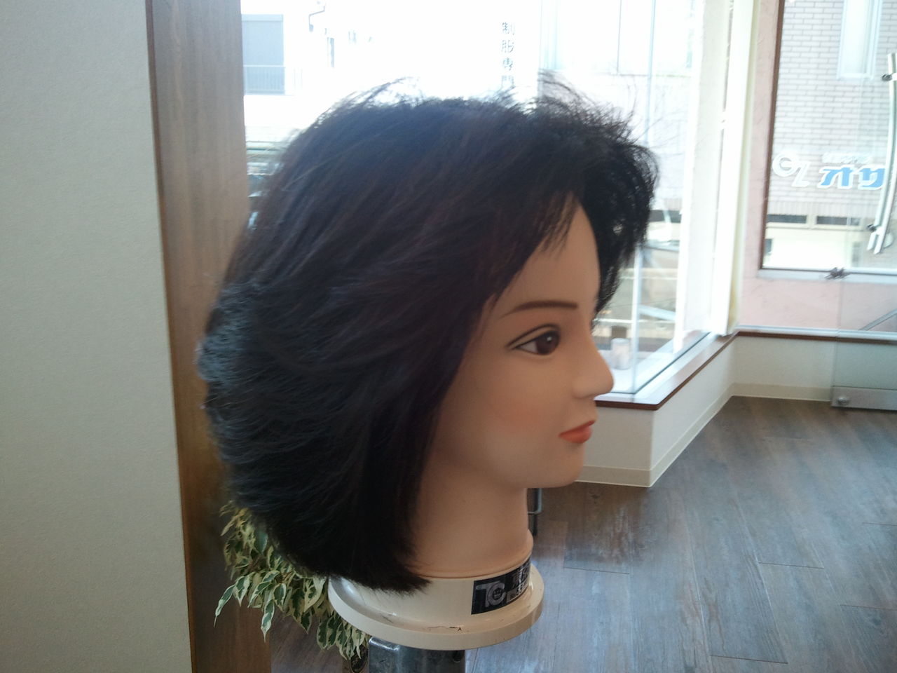 聖子ちゃんカット Partidaのブログ ノ 聖子ちゃんカット Partidaのブログ ノ