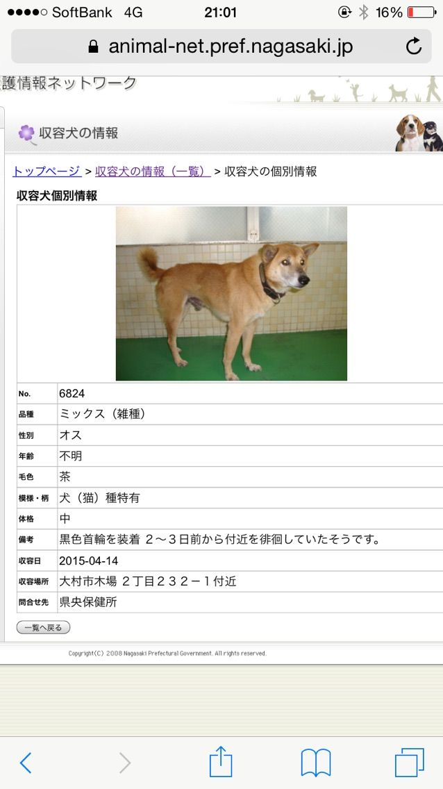 長崎県動物管理所情報 Pet S 長崎県動物管理所情報 Pet S