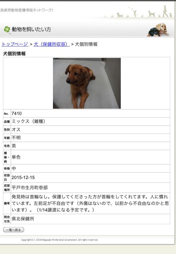 長崎県動物管理所情報 Pet S