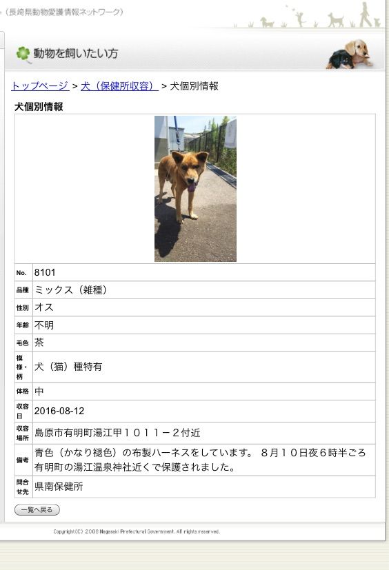 長崎県動物管理所情報 Pet S 長崎県動物管理所情報 Pet S