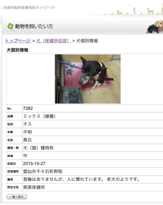 長崎県動物管理所情報 Pet S 長崎県動物管理所情報 Pet S
