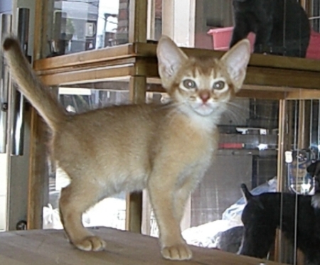 �������ޤ�ˣ�