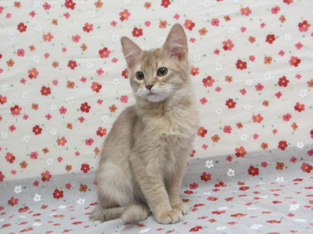 1610115somf170318 003