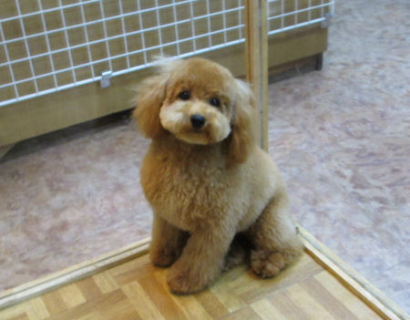 1106251ptm111104 002