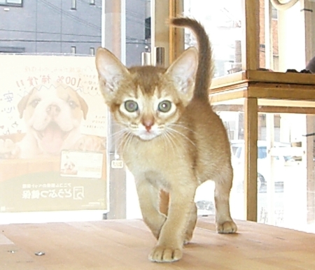 �������ޤ�ˣ�