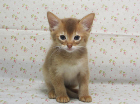 1610315somf161218 001