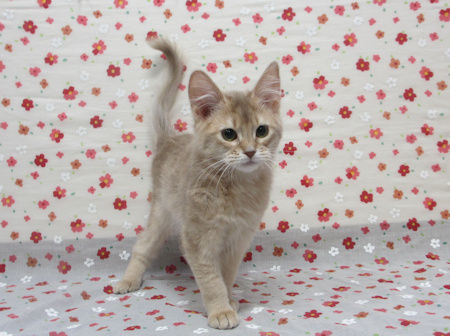 1610115somf170318 002