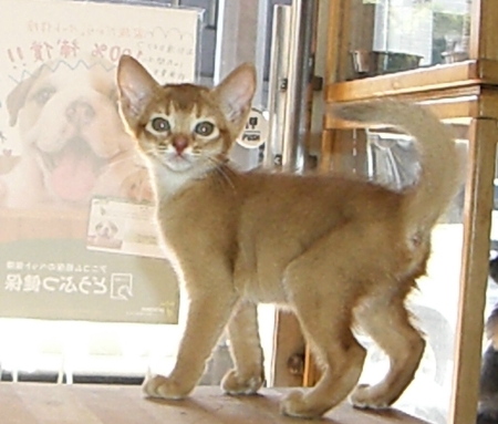 �������ޤ�ˣ�