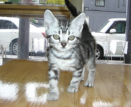 �������ޤ��1