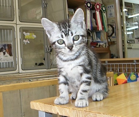 �������ޤ��2