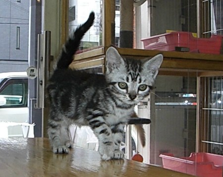 �������ޤ��3