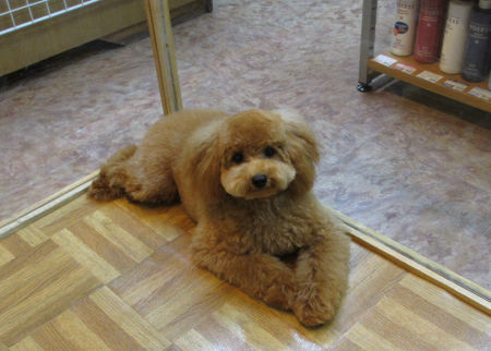 1106251ptm111104 003