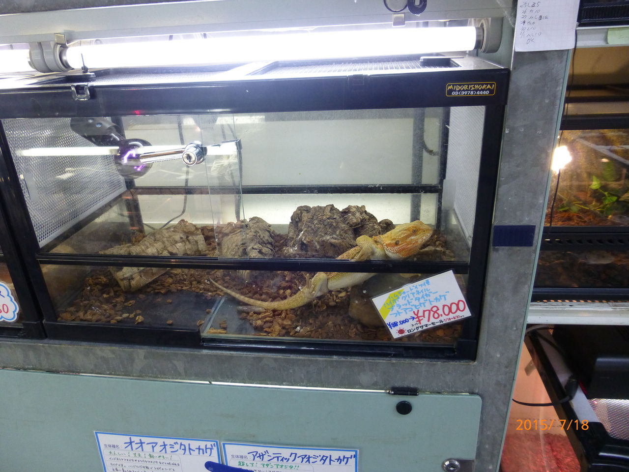 P1000549