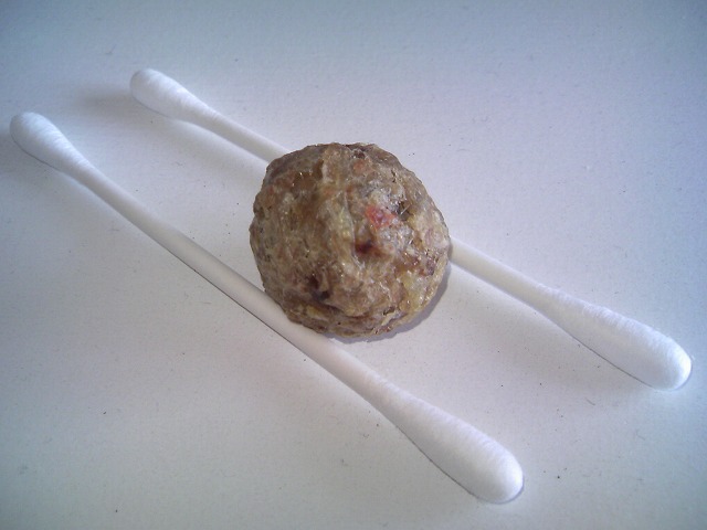 暇だったので鼻クソについてまとめてみた ぱるぷんてにゅーす