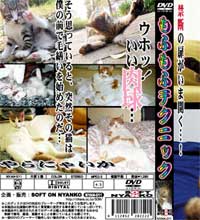 ねこDVD