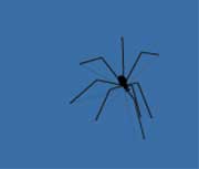 spider2