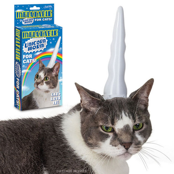 inflatable-cat-unicorn-horn (1)