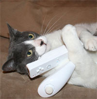 ����������å�