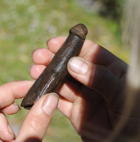 ancient-phallus-100720-02