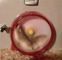 �Τ󤱡�