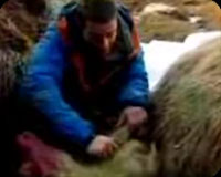 �ǥ������Х꡼