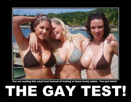 gay-test-1