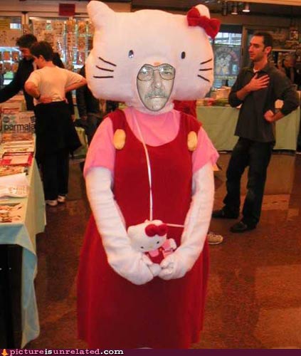 wtf-pics-disapproval-kitty