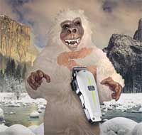 �����ƥ�