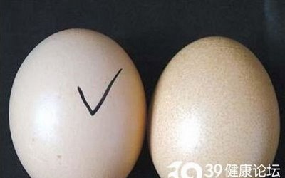 man_made_fake_eggs_02